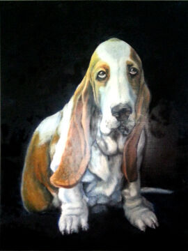 Hundeportrait