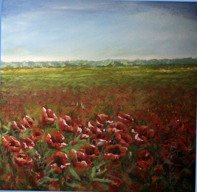 Vorschaubild: Mohnblumen