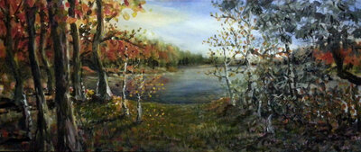 Vorschaubild: Senftenberger See