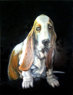 Vorschaubild: Hundeportrait