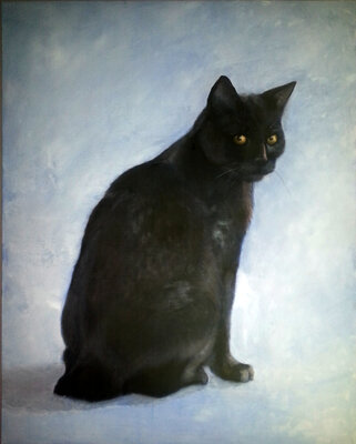 Vorschaubild: Katzenportrait